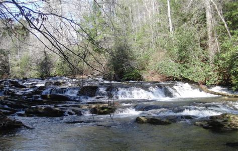 The Days of Johann, an agility dog!: Hiking Tumbling Waters at Carters ...