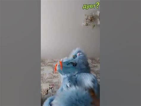 #фурри #фурсьют #раптор - YouTube