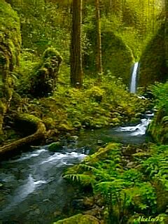 Beautiful Gif, Amazing Nature, Beautiful Landscapes, Beautiful Pictures ...