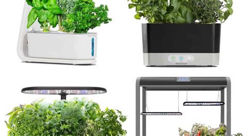 AeroGarden Products A Complete Guide For Beginners