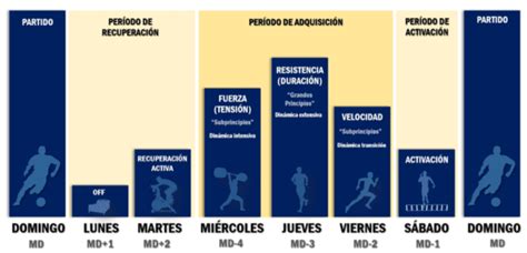 Periodizaci N T Ctica Como Dise Ar Un Morfociclo Patr N En F Tbol