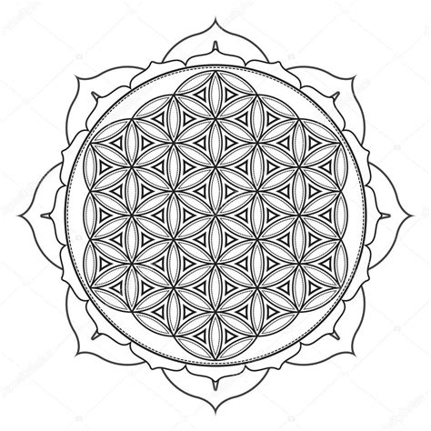 Vector Mandala Geometr A Sagrada Illustratio Vector Gr Fico Vectorial