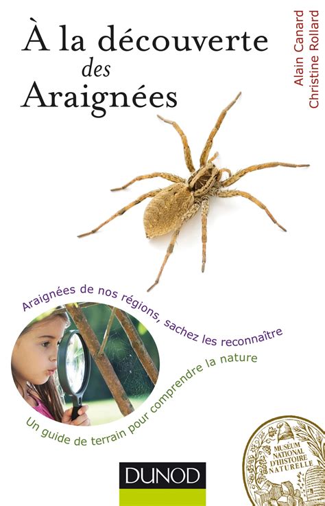 A la découverte des Araignées Araignées de nos régions sachez les