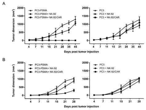 Cells Free Full Text Anti Psma Car Engineered Nk 92 Cells An Off