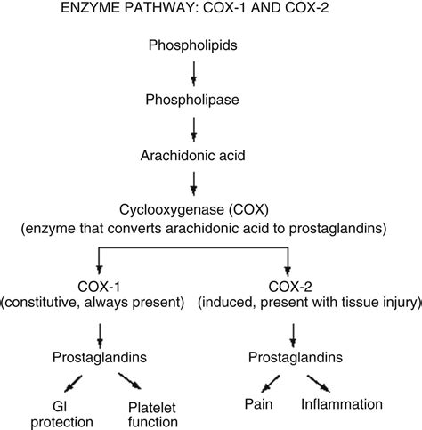 Cox Enzyme Pathway