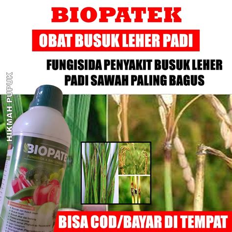 Jual BIOPATEK 500 Ml Pupuk Mengatasi Penyakit Busuk Leher Padi Di Sawah