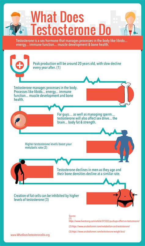 Role Of Testosterone In Your Body Infographic Hot Sex Picture