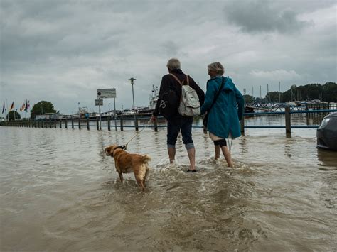 Germany floods map: Which areas are affected and why? - News Wire Evolution