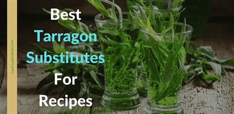 The 10 Best Tarragon Substitute Options That Can Save Your Recipe – Can ...