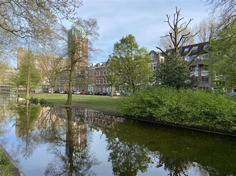 Wonen In Rubroek Start Je Zoektocht Op Wonen In Rotterdam