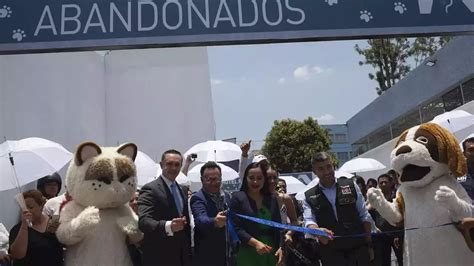 Arranca en la Cuauhtémoc el primer Hotel para Perros y Gatos