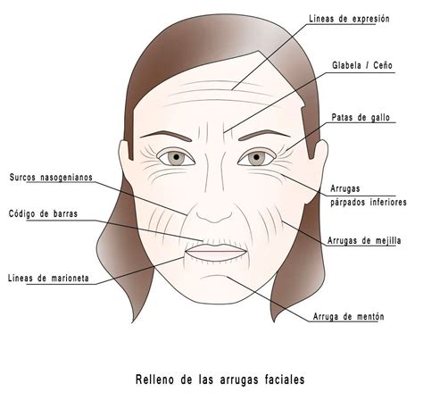 Vueltas Y Vueltas Lila Oblea Arrugas En El Rostro Significado C Sped