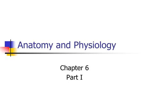 Ppt Anatomy And Physiology Powerpoint Presentation Free Download