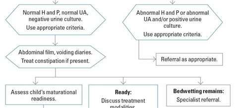 Primary enuresis in children: definition and treatment – Healthy Food ...