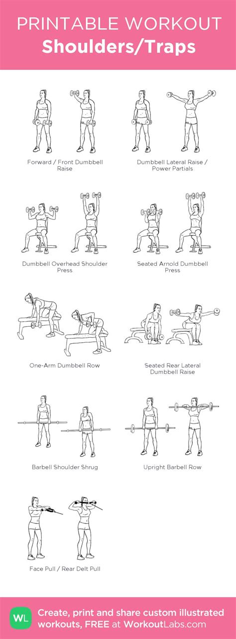 Shoulders/Traps | Traps workout, Shoulder traps, Shoulder and trap workout