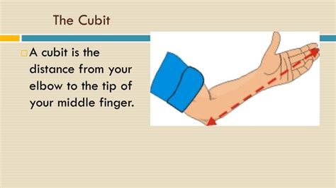 What Is 15 Cubits In Measurement