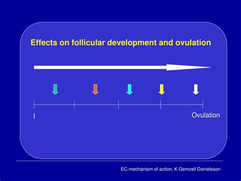 PPT - Mechanisms of action of levonorgest rel when used for Emergency ... 