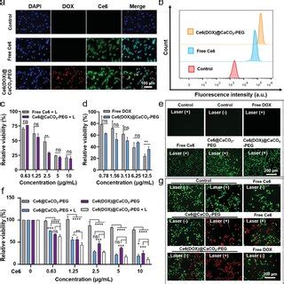 Synthesis And Characterization Of Ce Dox Caco Peg Nps A Schematic