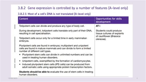 Gene Expression | Teaching Resources