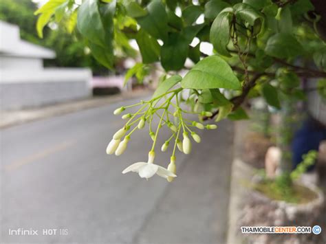 Infinix Hot S Hz Mah Helio G