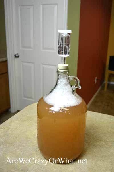 Hard Apple Cider Homebrew Recipe Bryont Blog