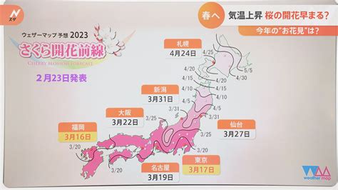 3月から“春の暖かさ”に “制限緩和”でお花見はどうなる？【解説】 Tbs News Dig