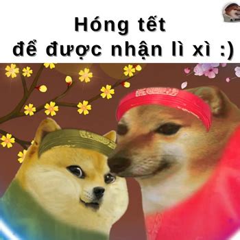 Meme Cheems L G Ngu N G C B T Ng C A Meme Hot Nh T Hi N Nay