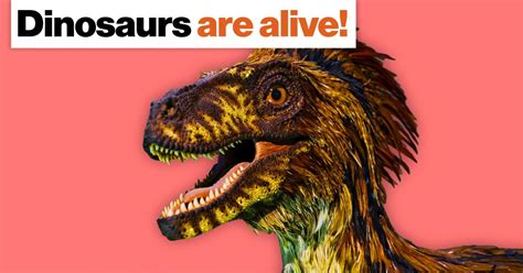 Dinosaurs are alive! Here’s how we know, and why it matters - Big Think