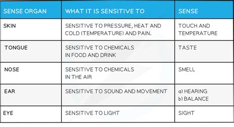 sense organs  environment igcse biology revision note