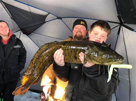 Lake Louise Fish Report - Anchorage, AK (Matanuska-Susitna County)