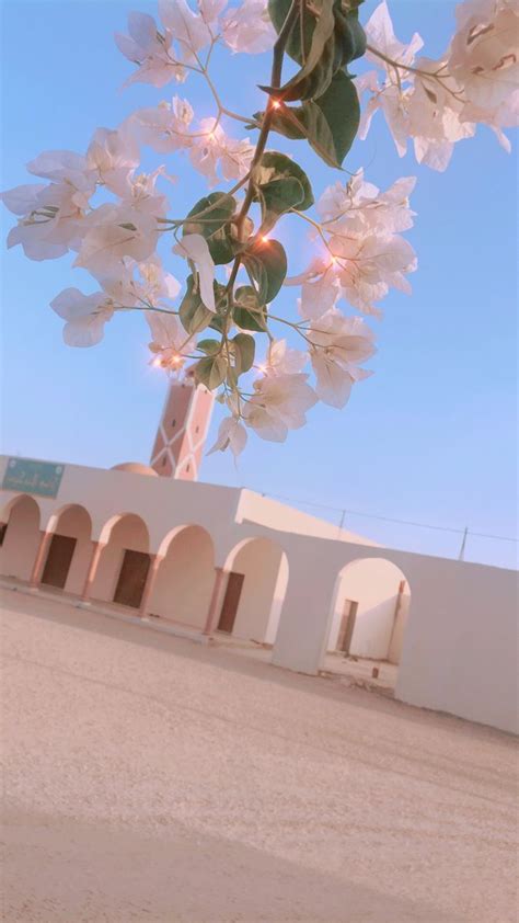 White Flowers Are Blooming On A Tree Outside An Adobe Style Building