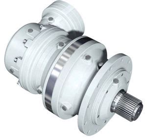 Planetary Gear Reducer Rr Series Reggiana Riduttori Coaxial