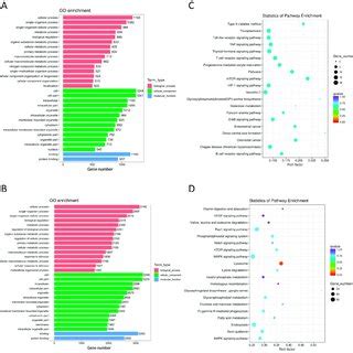 Profiles Of Differentially Expressed DE LncRNAs MiRNAs And MRNAs