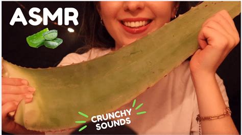 Asmr Aloe Vera Challenge Blabla D Gustation Mouth Sounds Crunchy