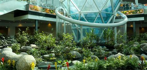 Hamad Airport Unveils Expansion Project Featuring Tropical Garden Passenger Terminal Today