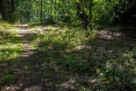 Carinhall - The ruins of Herrmann Görings Villa | Lost Places Brandenburg