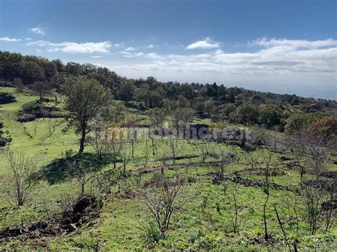 Terreno Agricolo Contrada Inchiuso Santa Maria Di Licodia Rif