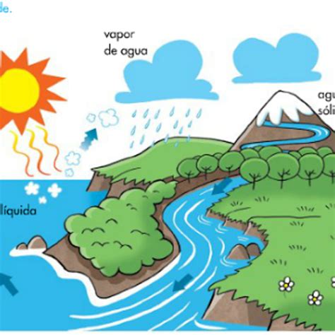 Ciclo Del Agua Y Su Proceso Ciclo Del Agua 19992 Hot Sex Picture