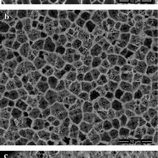 Sem Plane View Micrograph Of A N Psi Sample B Pre Annealed P Ga