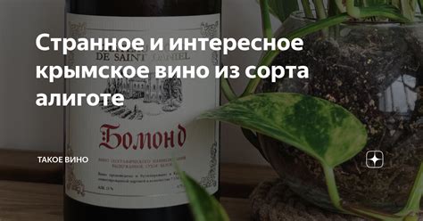 Странное и интересное крымское вино из сорта алиготе | Такое Вино | Дзен
