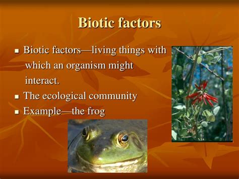 PPT - Biotic and Abiotic Factors PowerPoint Presentation - ID:3291332