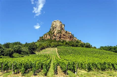 Burgundy Wine Region France Winetourism