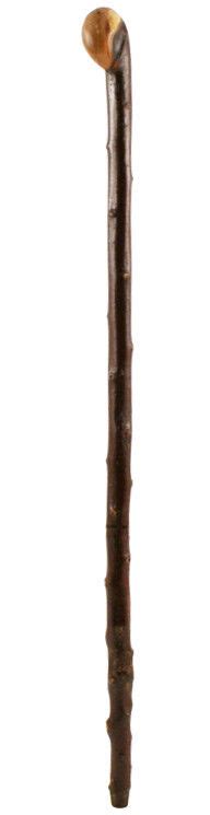 Blackthorn Knob Stick Alpine Ferrule Rustic Natural Walking Staff