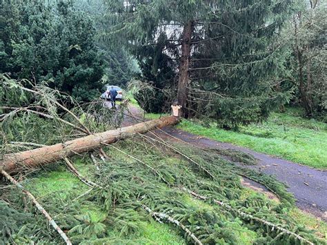 Unwetter bei Schleusingen Baum stürzt auf Bungalow Hildburghausen