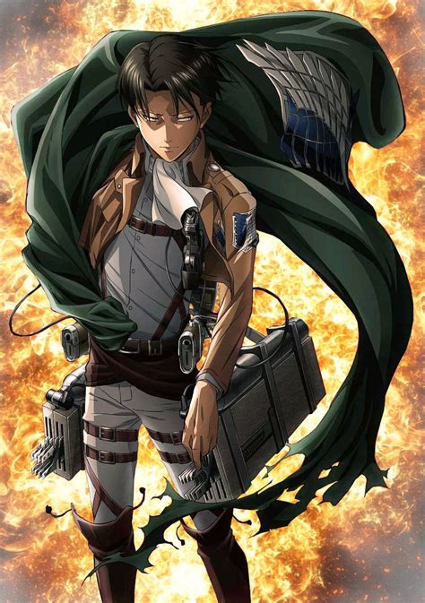 così Latticini falco attack on titan levi poster collare per conto di ...