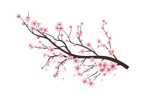 Download Sakura Tree Background | Wallpapers.com