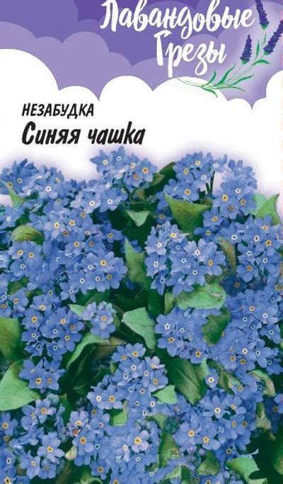 Купить семена незабудки в интернет-магазине - огромный онлайн каталог!