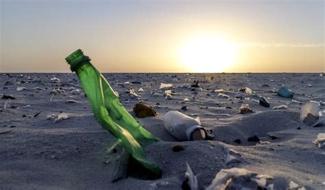 Plastikmüll im Meer Wie er dem Ökosystem Meer vor allem Tieren schadet