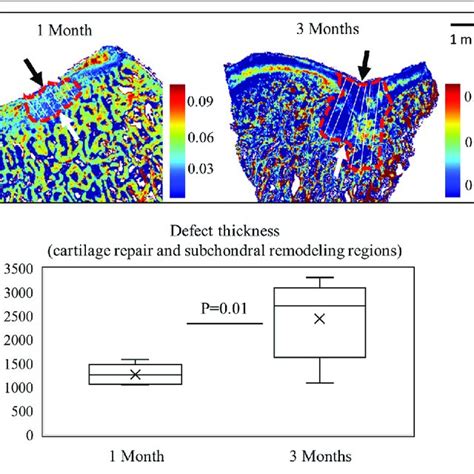 A Ftir Images Based On The Cm Amide Ii Areas After Month