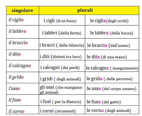 Gli Aggettivi E I Pronomi Dimostrativi Artofit